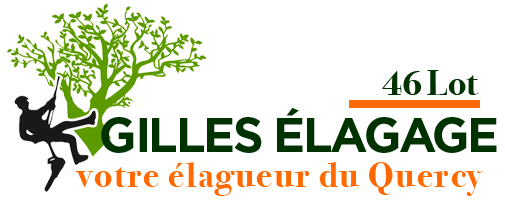 Gilles élagage